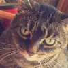 carriemarlowlitte - @carriemarlowlitte - TikTok