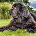 Carrie Maroon - Facebook