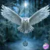 Carrie Marsh/wiccan69 - @carriemarsh26 - TikTok