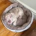 Carrie Marshall - Facebook