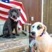 Carrie Whitcomb - Facebook