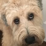 Carrie Kobb Mastropaolo - @carrie0601 - Instagram