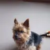 Carrie Matthews - @carrie.matthews41 - TikTok