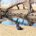 Carrie Matthews - @carrie.matthews.39 - Instagram
