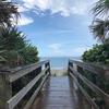 carriematthison - @carriematthison - TikTok