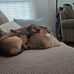 Carrie Z. Matuszak - Facebook