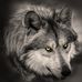 Carrie Mauldin - Facebook