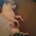 Carrie Maxwell - @carriemaxwell121 - Instagram