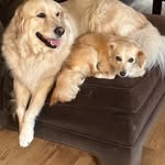 Carrie Maxwell - @carriemaxwell21 - Instagram