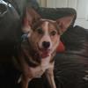 Carrie may - @carrie.chamberlai8 - TikTok