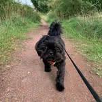 Carrie Mayer - @carriemayer668 - Instagram