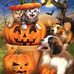 Carrie Mayer - Facebook