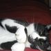Carrie Mayhew - Facebook