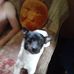 Karrie Mayhew - Facebook