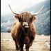 Carrie Mays - Facebook