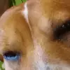 Carrie McBee - @carrie.mcbee - TikTok