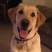 Carrie McBride - Facebook