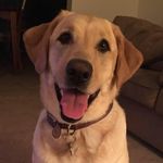 Carrie McBride - @cmcbride422 - Instagram