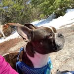 Carrie Mccabe - @mccabe51018 - Instagram