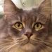Carolyn Smalley McCambridge - Facebook