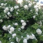 Carrie McLeod - @carrie.mcleod.7509 - Instagram
