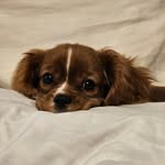 Carrie Cogley-Miles - @cogleymiles - Instagram