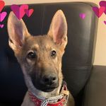 Carrie Milton - @carriemilton880 - Instagram