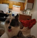 Carrie Murray - Facebook