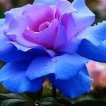 Carrie Murray - @carrie_photography10 - Instagram
