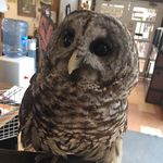 Carrie Murray Nature Center - @carriemurraynaturecenter - Instagram