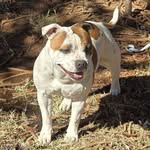 Carrie Nourse - @rmsbt5 - Instagram