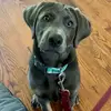 Carrie O’Connell - @carrie.oconnell26 - TikTok