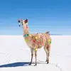 Carri Olner - @batmanllama - TikTok