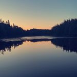 Carrie Parent - @carrieparent - Instagram