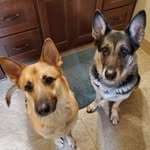 Carrie Passmore Tyner - @carriepassmore - Instagram