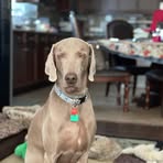 Carrie Perry - Facebook