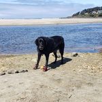Carrie Perry - @carrie.perry.52 - Instagram