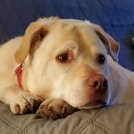 Carrie Pollock - @jeepkodiak - Instagram