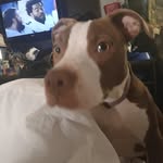 Carrie Post - @carriepost8217 - Instagram