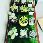 Carrie Potter 🌱 - @carriepotter205 - Instagram