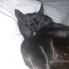carriepotter - @carriepotter717 - TikTok