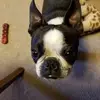 carriepower8 - @carrie.power - TikTok