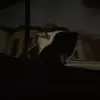 car - @carlieprough - TikTok