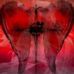 Carrie Purcell - Facebook