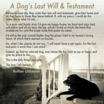 Carrie Purcell - @dogmomtooscar - Instagram