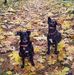 Carrie Quist - Facebook