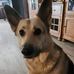 Carrie Baldridge Rainey - Facebook