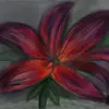 Carrie Kramer - @carrie.kramer2 - TikTok
