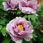 carrie ramer - @ramercarrie - Instagram
