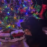 Carrie Rasberry Hopper - @carrieehopper - Instagram